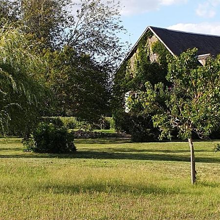Gite Le Campagnard Saint-Germain-Des-Bois  Buitenkant foto