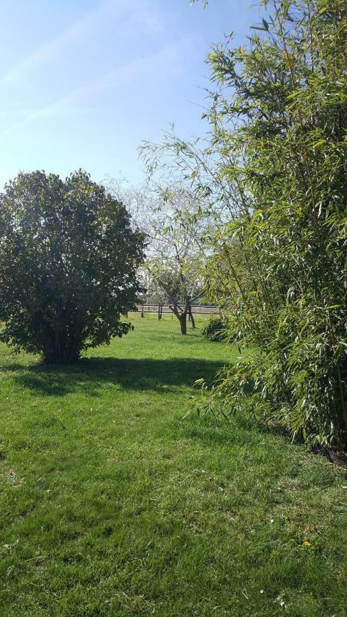 Gite Le Campagnard Saint-Germain-Des-Bois  Buitenkant foto